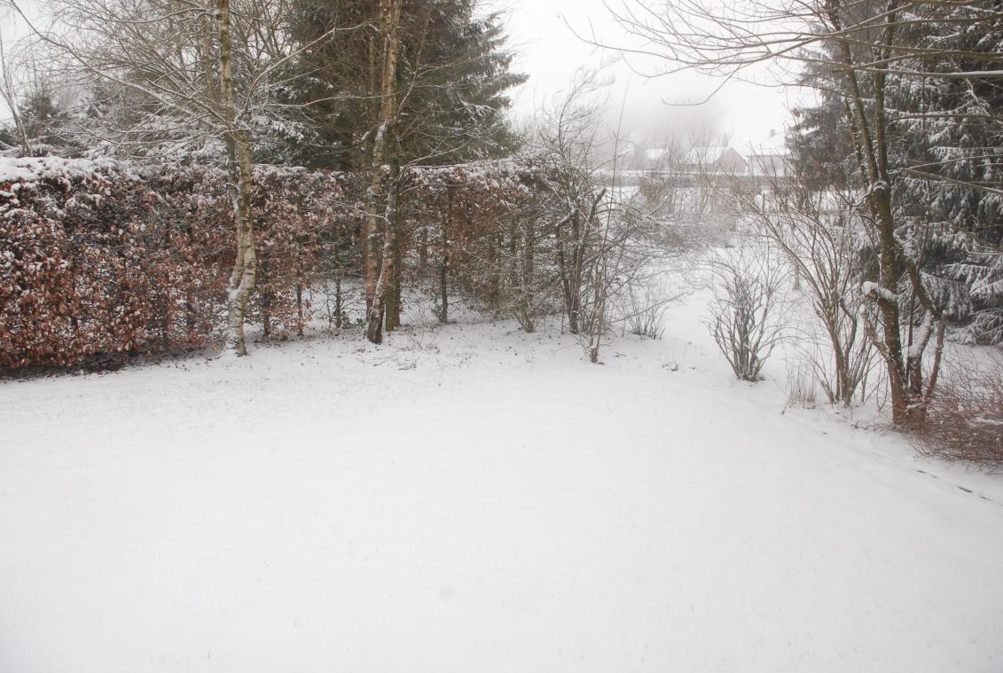 <p>Auch wenn es die letzten Tage in den etwas höheren Lagen geschneit hat, sind die Aussichten für Wintersport in Ostbelgien vorerst schlecht.</p>