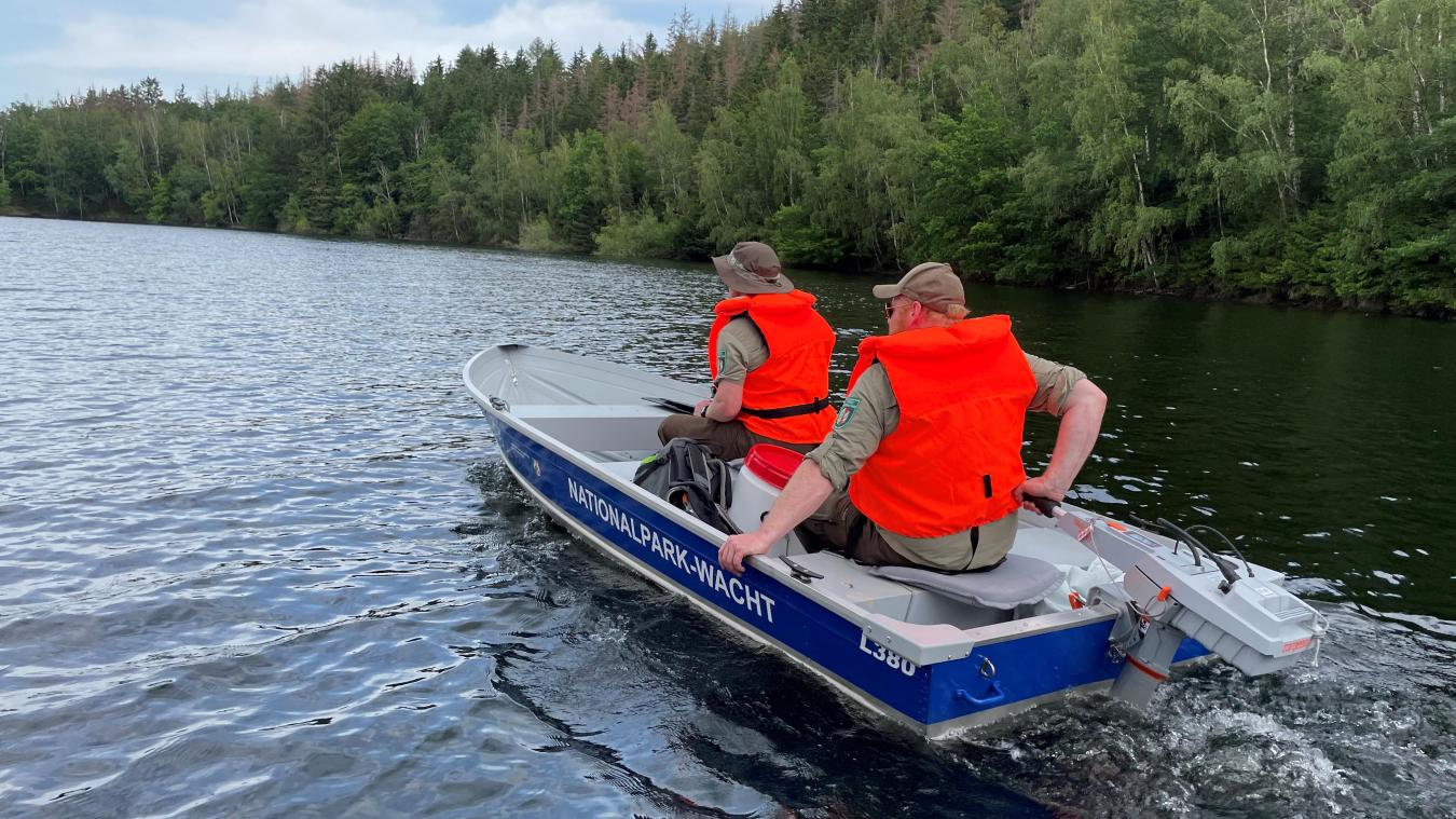 <p>Ranger der Nationalpark-Wacht in einem Boot auf dem Rursee. Auf dem See werden Kontrollen gefahren, um u.a. verbotenes Campen und Feuermachen am Nationalparkufer zu unterbinden.</p>