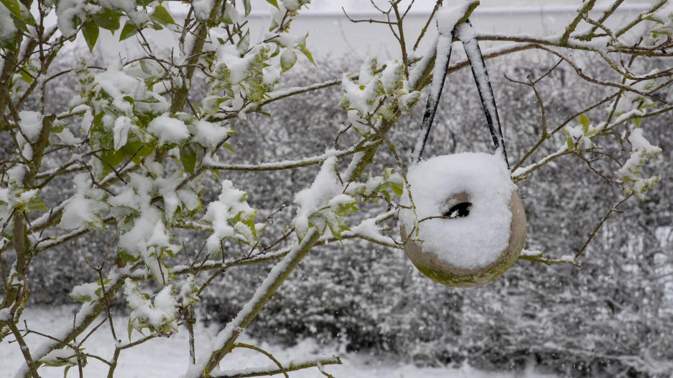 <p>Später Wintereinbruch bringt Schnee im ganzen Land</p>
