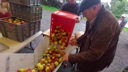 <p>[Video] Obstpresse in Eynatten: Die „Sonne“ macht aus Äpfeln flüssiges Gold</p>
