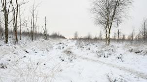 <p>(RS) Schneebilder Hohes Venn - Samstag 27.11.21 (34)</p>