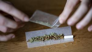 <p>Beim Besitz von Cannabis beträgt das Bußgeld 75 oder 150 Euro.</p>