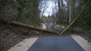 <p>Die Feuerwehr musste oft wegen umgestürzter Bäume ausrücken, wie hier in Asse.</p>