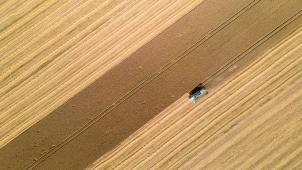 <p>Infolge des Ukraine-Kriegs und der Sanktionen gegen Russland ist der Weizenpreis sprunghaft angestiegen.</p>