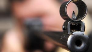 <p>luftgewehr</p>