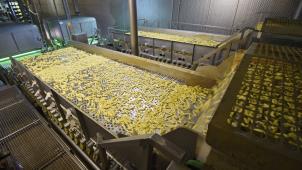 <p>Frittenproduktion in Leuze-en-Hainaut</p>