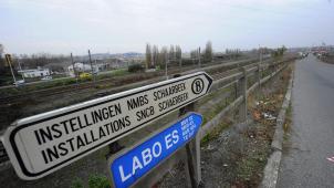 <p>belgaimage-23728755-full</p>