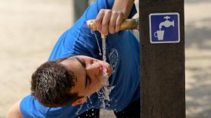 <p>Im Parc de Bruxelles steht seit Jahren schon ein Trinkwasserspender bereit.</p>