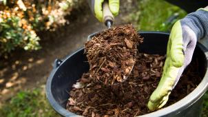 <p>Nachhaltigkeit hat viele Gesichter und soll im neuen BrIAS-Institut erforscht werden.</p>