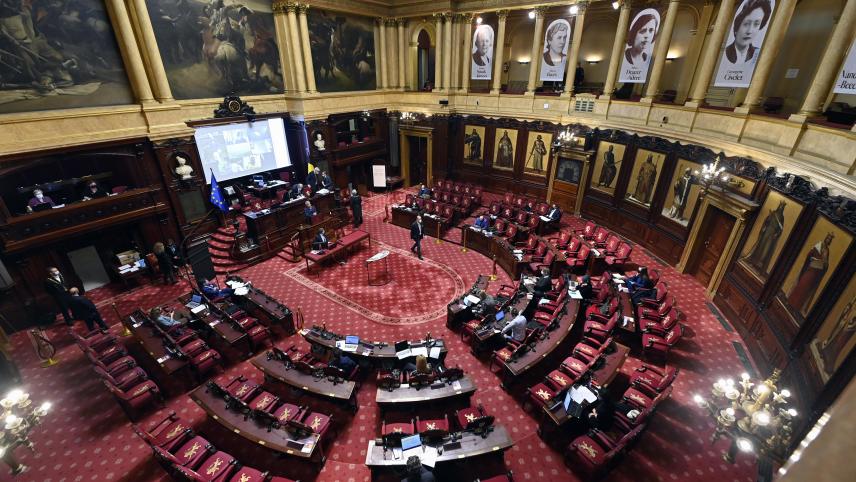 <p>Der Sondergesetzesvorschlag wurde im Senatsplenum einstimmig angenommen.</p>