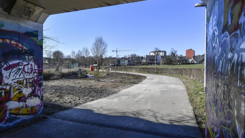 <p>Stromverteilergesellschaft Ores hat die Arbeiten in Auftrag gegeben.</p>