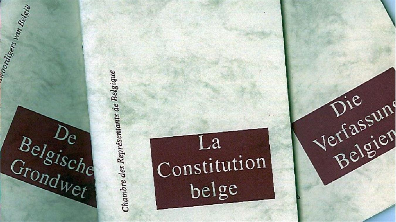 <p>Unter anderem in puncto Grundrechte sollte die belgische Verfassung der heutigen Zeit angepasst werden.</p>