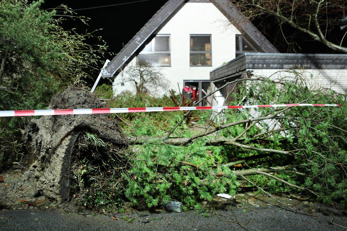 <p>Umgestürzte Bäume liegen vor einem Haus. Ein Tornado hat in Roetgen Dächer abgedeckt, Häuser beschädigt und die Bewohner erschreckt.</p>