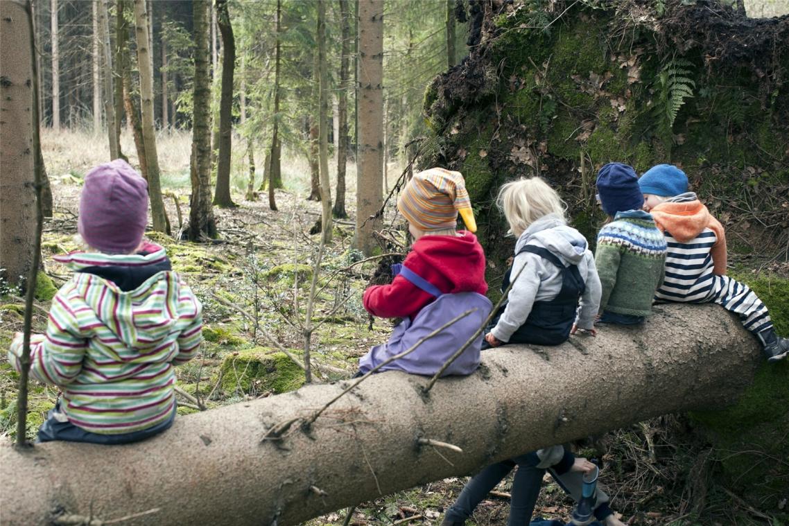 <p>Beim Waldkindergarten sind die Kinder den ganzen Tag über in der Natur unterwegs. Es wird sehr viel Wert auf das freie Spiel gelegt.</p>