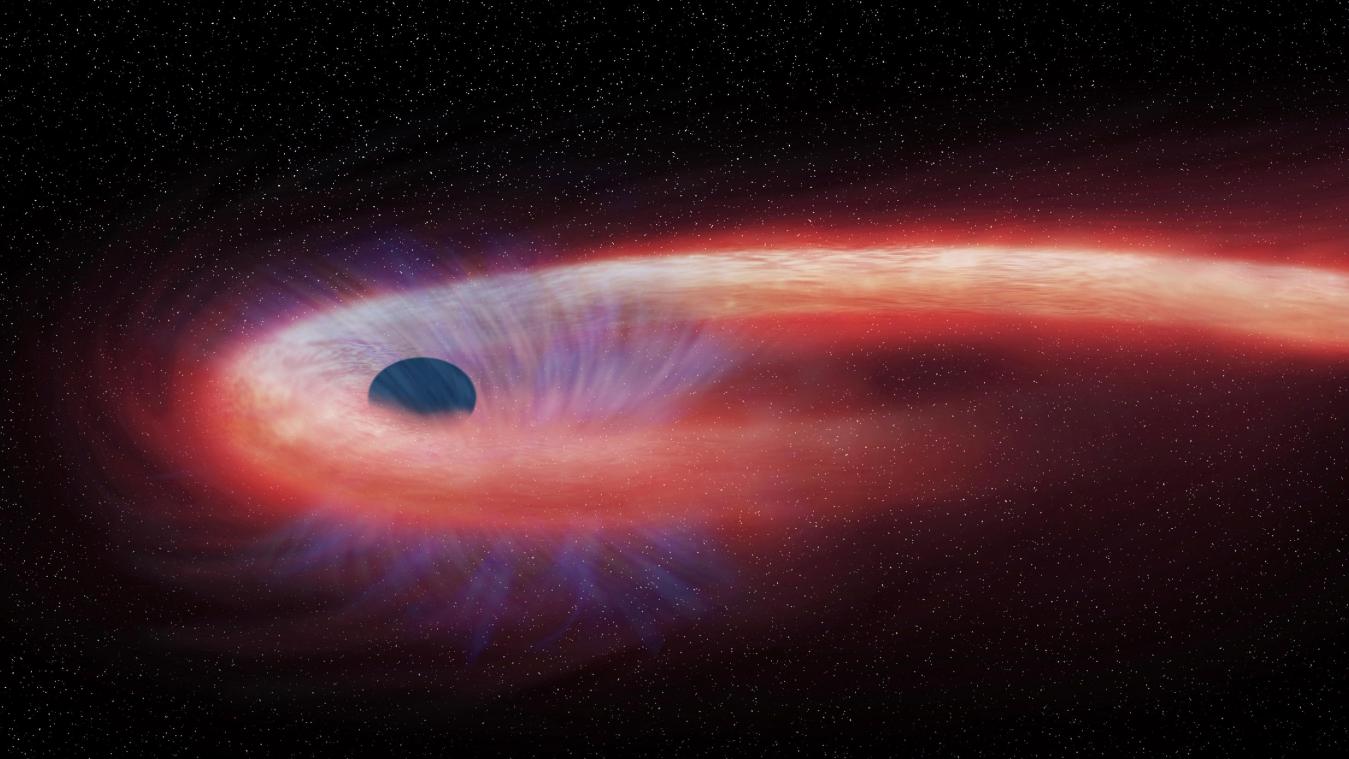 <p>Diese von der NASA bereitgestellte grafische Darstellung zeigt einen Stern, der von einem schwarzen Loch geschluckt wird und dabei einen roten Schweif aus Röntgenstrahlen hinter sich lässt.</p>