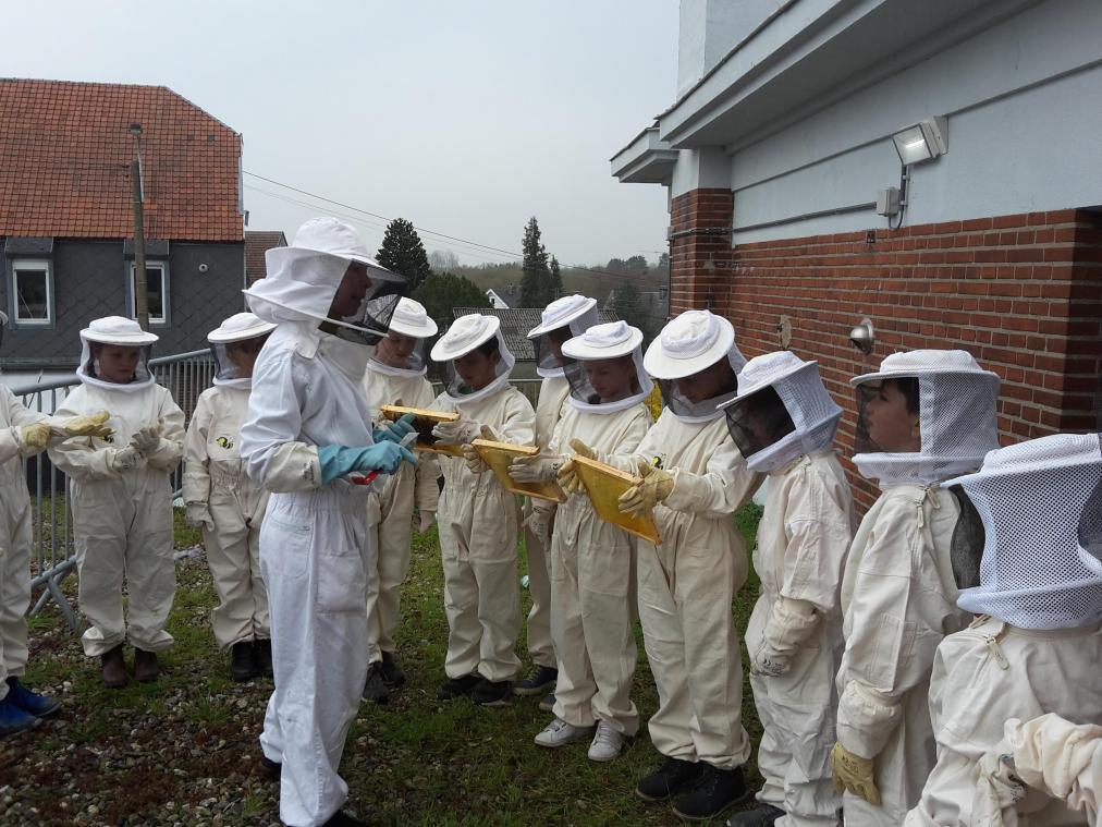<p>In Schutzanzüge gepackt, nehmen die Herbesthaler Schüler unter anderem auch ihren Bienenstock auf dem Schulgelände in Augenschein.</p>