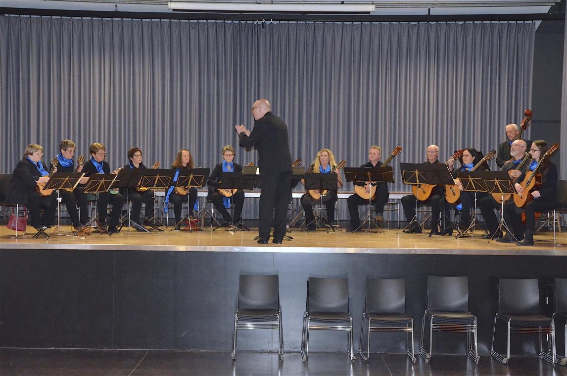 <p>Das Kgl. Mandolinenorchester Eupen unter der Leitung von William Trips bei seiner Aufführung am Samstag im Haus Harna. Die filigrane und präzise Zupfmusik hinterließ bei den Zuhörern und bei der Jury einen hervorragenden Eindruck.</p>