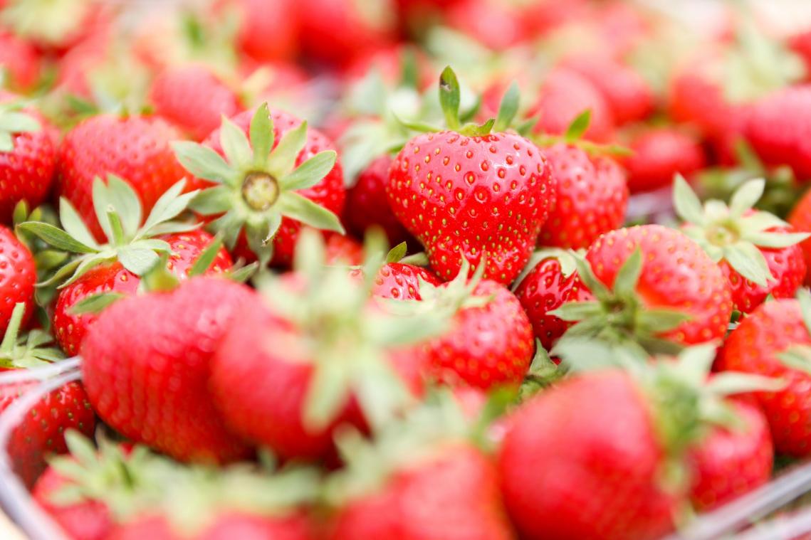 <p>Obsthändler Gerald Kreitz: „So günstig findet man die Erdbeeren nirgendwo“</p>
