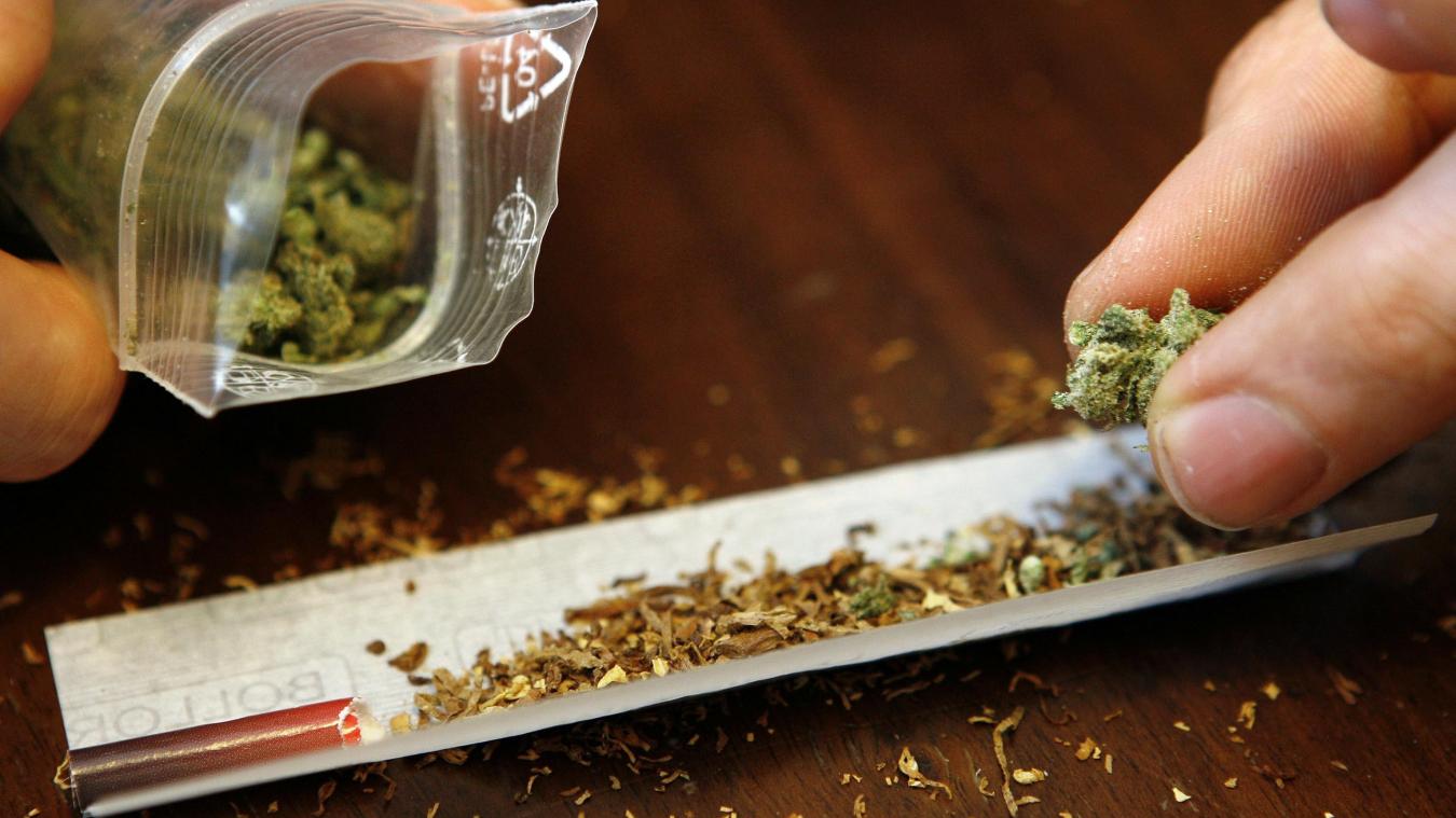 <p>In Belgien ist der Besitz und Anbau von Cannabis grundsätzlich verboten.</p>