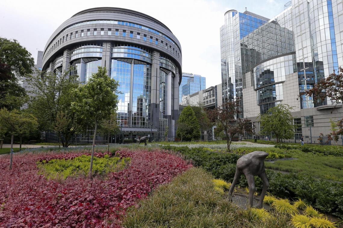<p>Blick auf Gebäude des EU-Parlamentes in Brüssel</p>