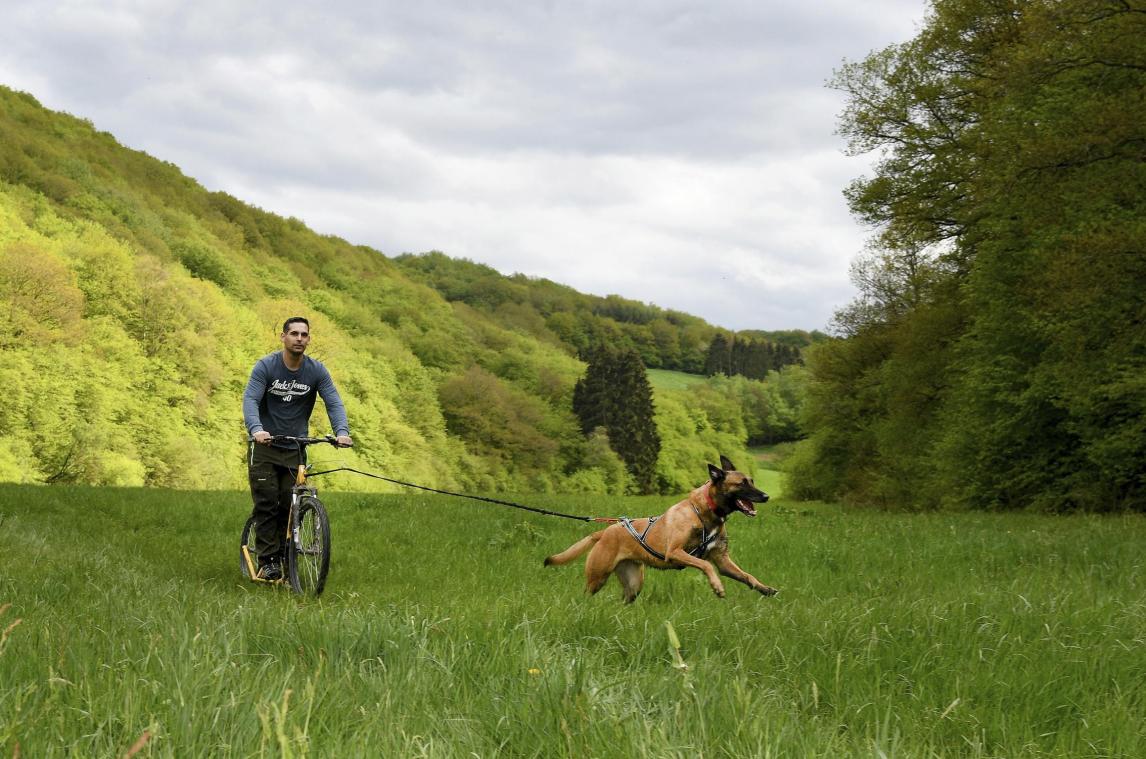 <p>Die Eifel als Kulisse eines besonderen Naturerlebnisses: Beim gemeinsamen Erlebnis Hund-Mensch gibt es kaum Grenzen.</p>