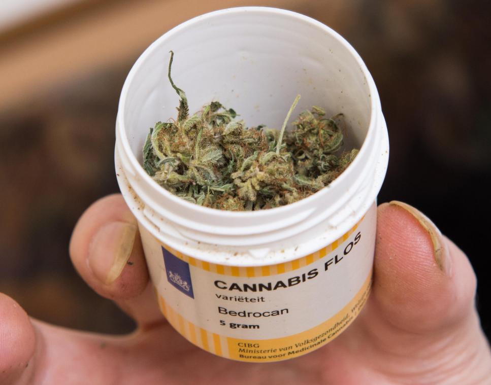 <p>Cannabis auf Rezept: Schmerzmittel mit Risikopotenzial.</p>