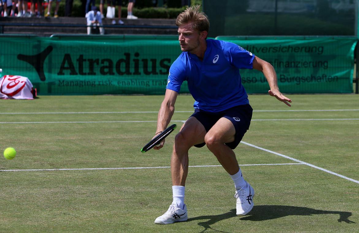 <p>David Goffin</p>