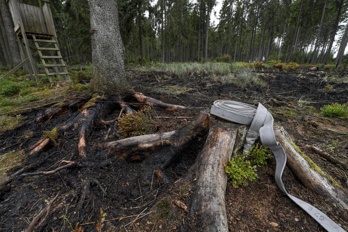 <p>Bei dem Brand am Mittwoch am Rande des Hohen Venns waren 15.000 Quadratmeter Wald zerstört worden.</p>