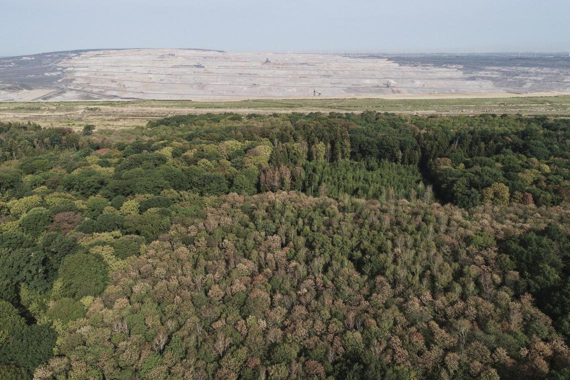 <p>Eine mit einer Drohne erstellte Luftaufnahme zeigt den Braunkohletagebau Hambach (hinten) und den Hambacher Forst (vorn).</p>
