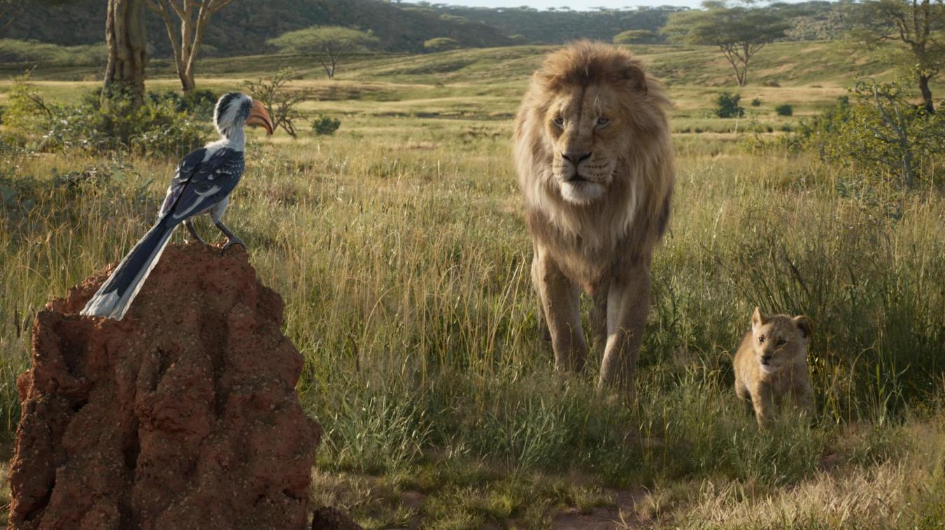 <p>Eine Szene des Films „Der König der Löwen.</p>