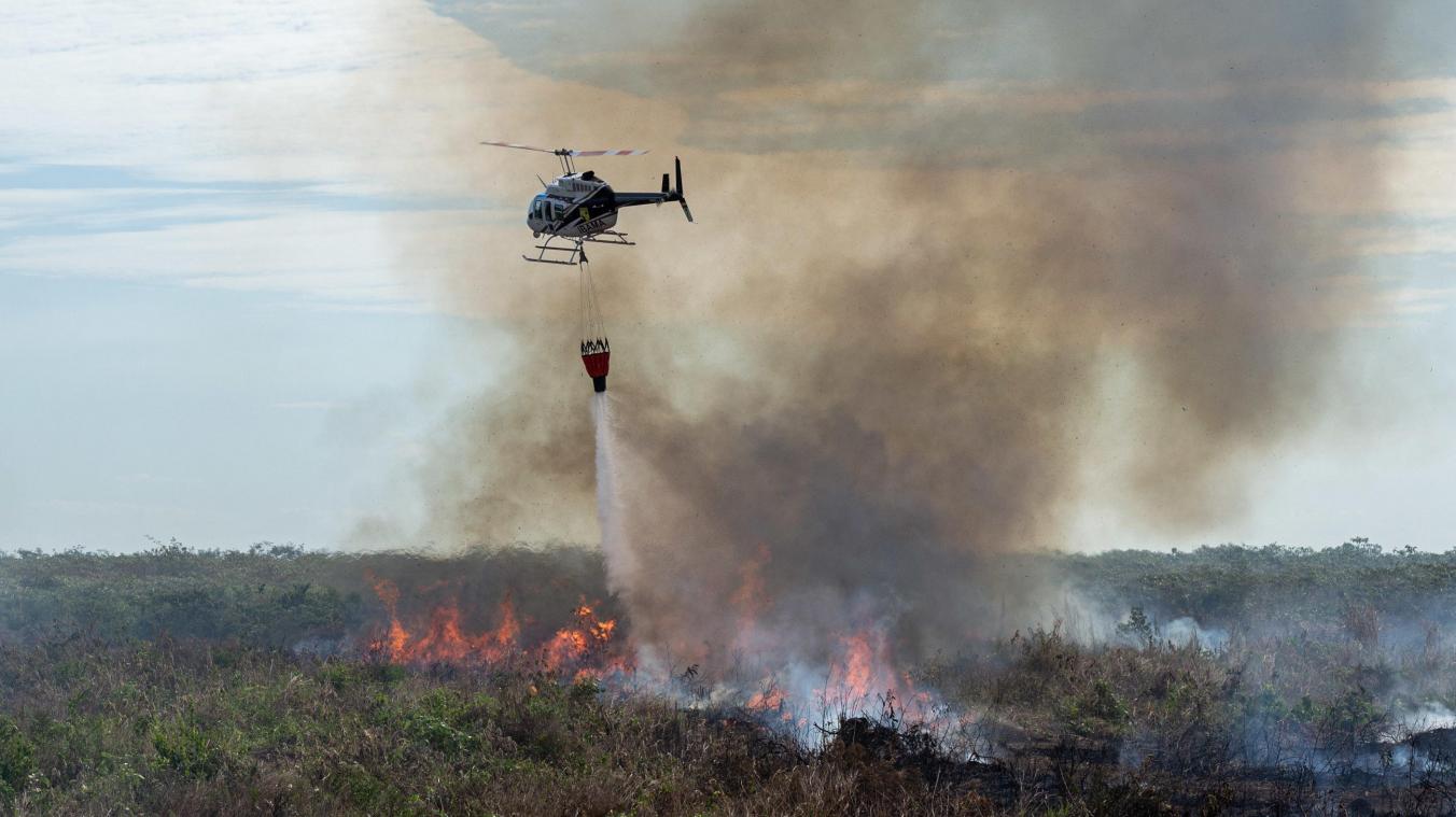 <p>In Brasilien wüten derzeit die schwersten Waldbrände seit Jahren.</p>