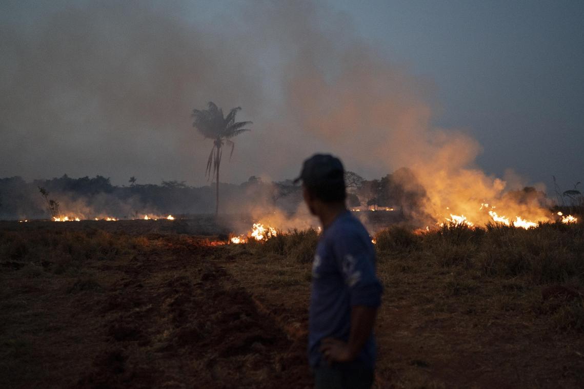 <p>In Brasilien wüten derzeit die schwersten Waldbrände seit Jahren.</p>
