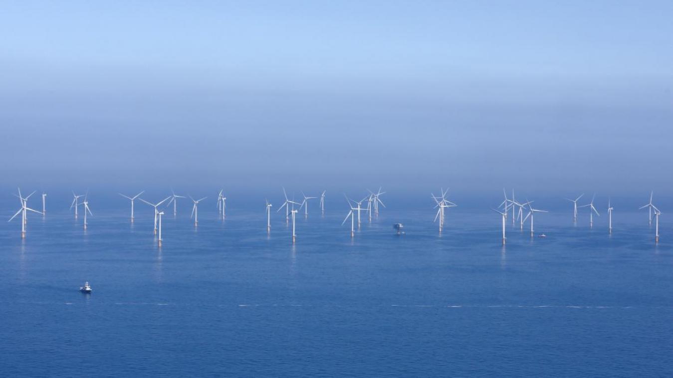 <p>Die Windparks in der belgischen Nordsee haben positive und negative Auswirkungen auf das dortige Ökosystem.</p>