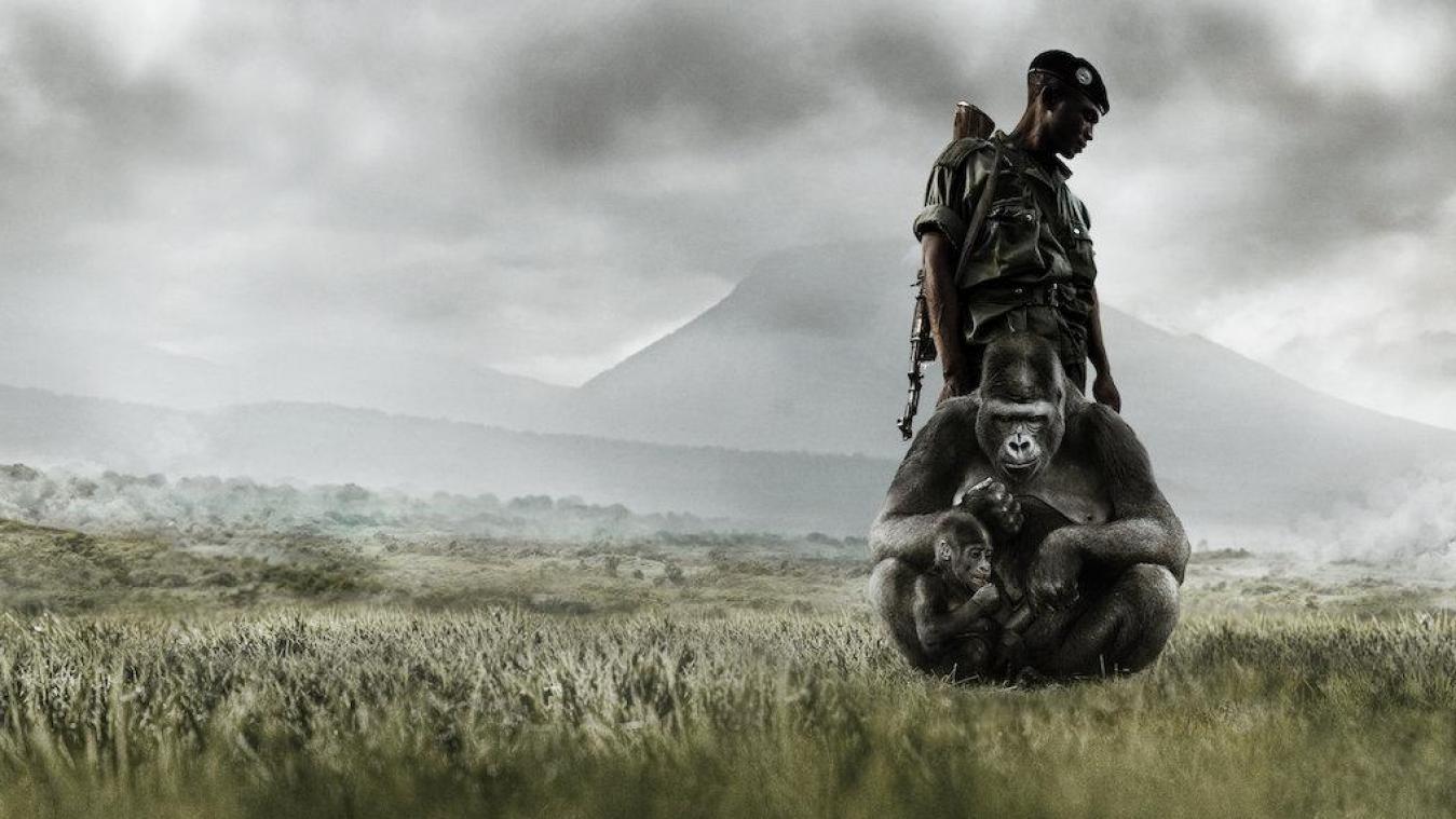 <p>Wie eine Dokumentation den Nationalpark Virunga rettete</p>
