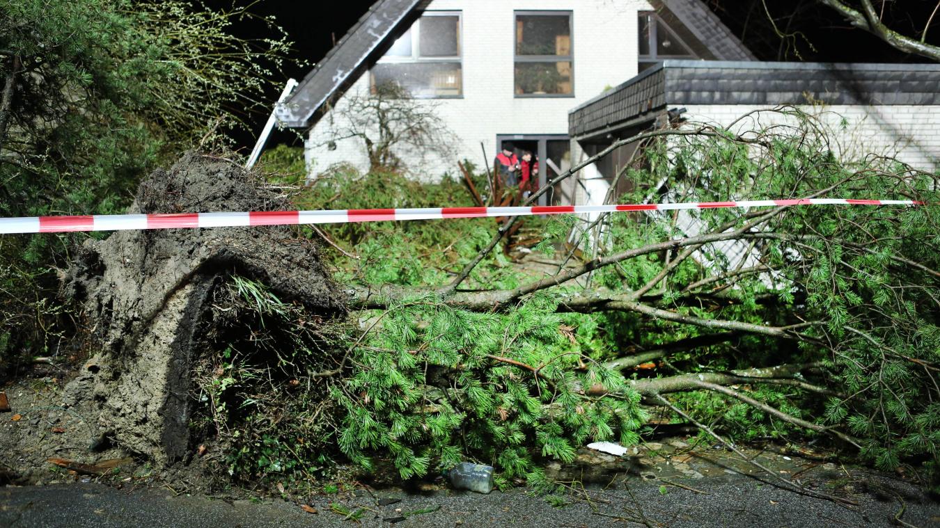 <p>Ein Tornado verwüstet mehrere Häuser in dem Grenzdorf Roetgen</p>