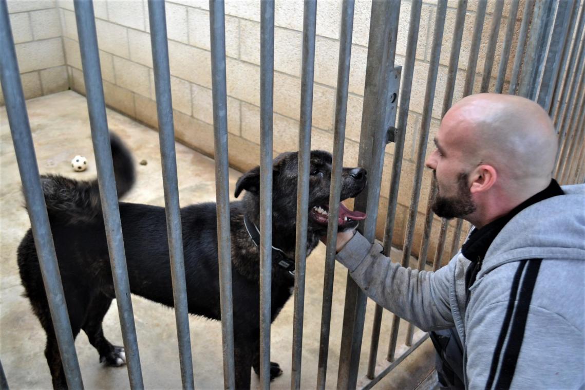 <p>Der Eupener Tierheim-Verantwortliche Yves Pavonet mit einem seiner Schützlinge.</p>