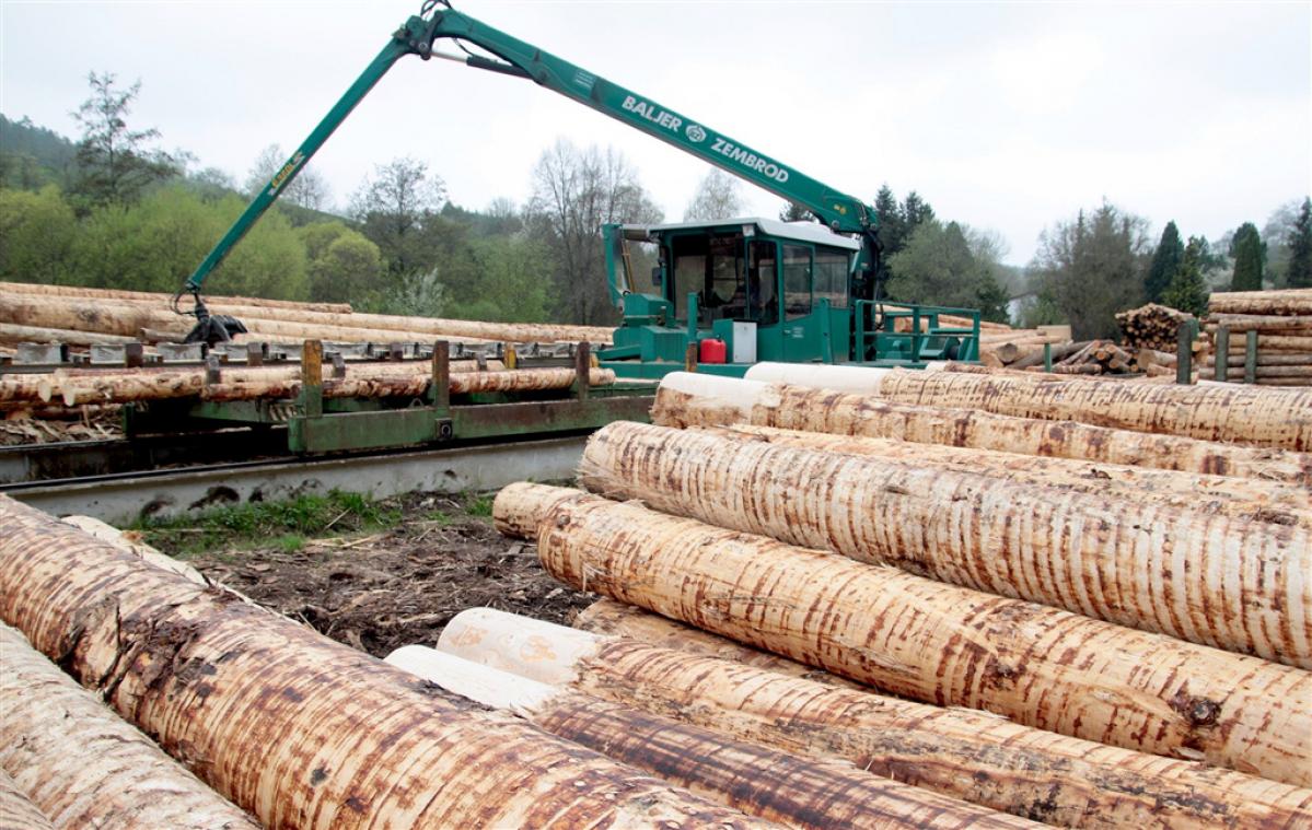 <p>Beim Holzverkauf aus den ostbelgischen Staatsforsten bestätigte sich, dass für gesundes Starkholz aktuell keine guten Preisen abgerufen werden können. Der europäische Nadelholzmarkt leidet noch zu sehr unter den Auswirkungen der Borkenkäferplage.</p>