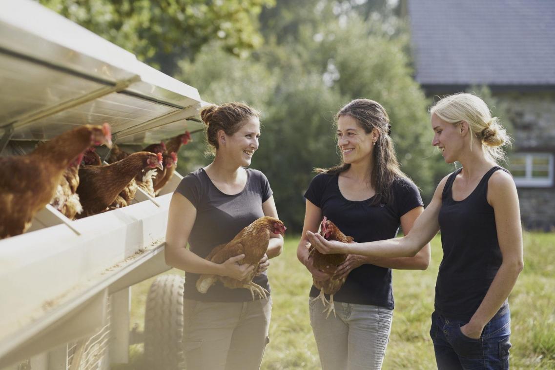 <p>Fast 200 Hühner legen auf dem BioGut Schoppen rund 180 Eier täglich. Vor Ostern und infolge der Coronakrise ist die Nachfrage sehr groß.</p>