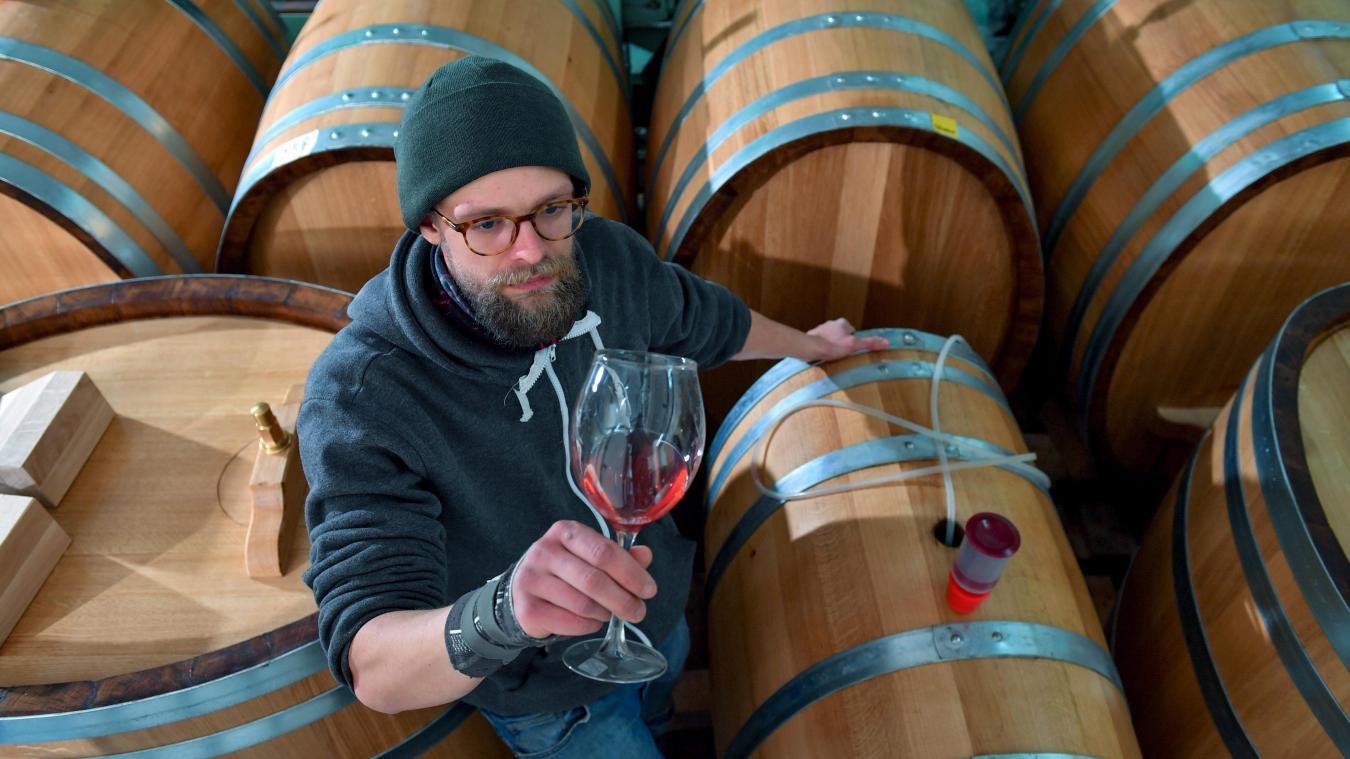 <p>Zu viel Wein auf dem Markt: Winzer bekommen EU-Hilfen</p>
