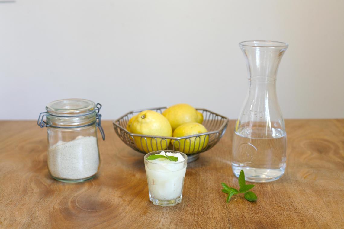 <p>Eine Zitronen-Granita braucht nur wenige Zutaten: Wasser, Zitronen und Zucker sowie ein paar Blätter Minze.</p>