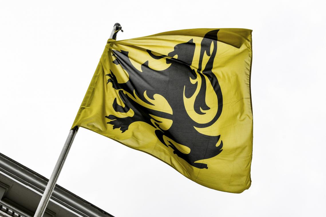 <p>Die Fahne der flämischen Bewegung unterscheidet sich farblich von der offiziellen flämischen Fahne.</p>