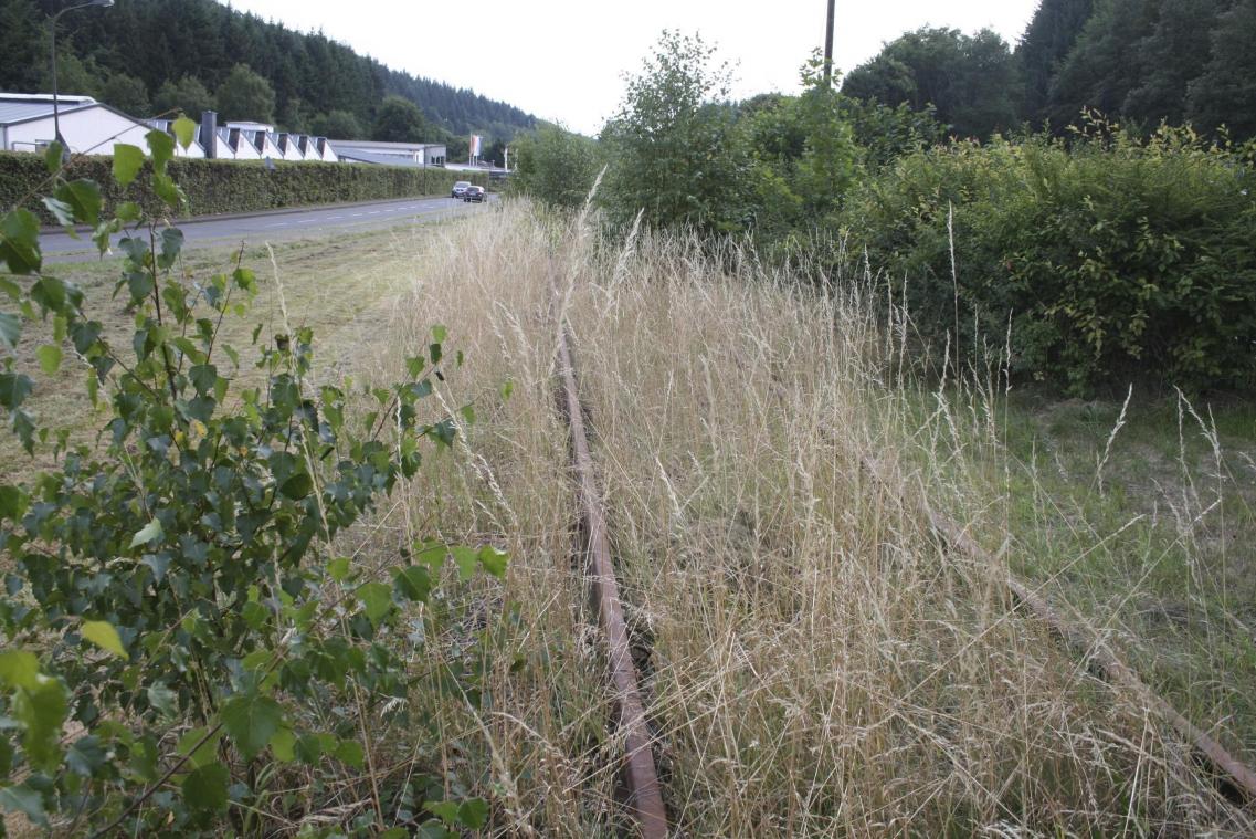 <p>Zwischenzeitlich ist die einstige Bahntrasse mit Gras bewachsen. Nunmehr ist der Weg frei, um eine Radverbindung in Richtung St.Vith zu schaffen.<br />
Foto: HG Boßmann/Archiv</p>