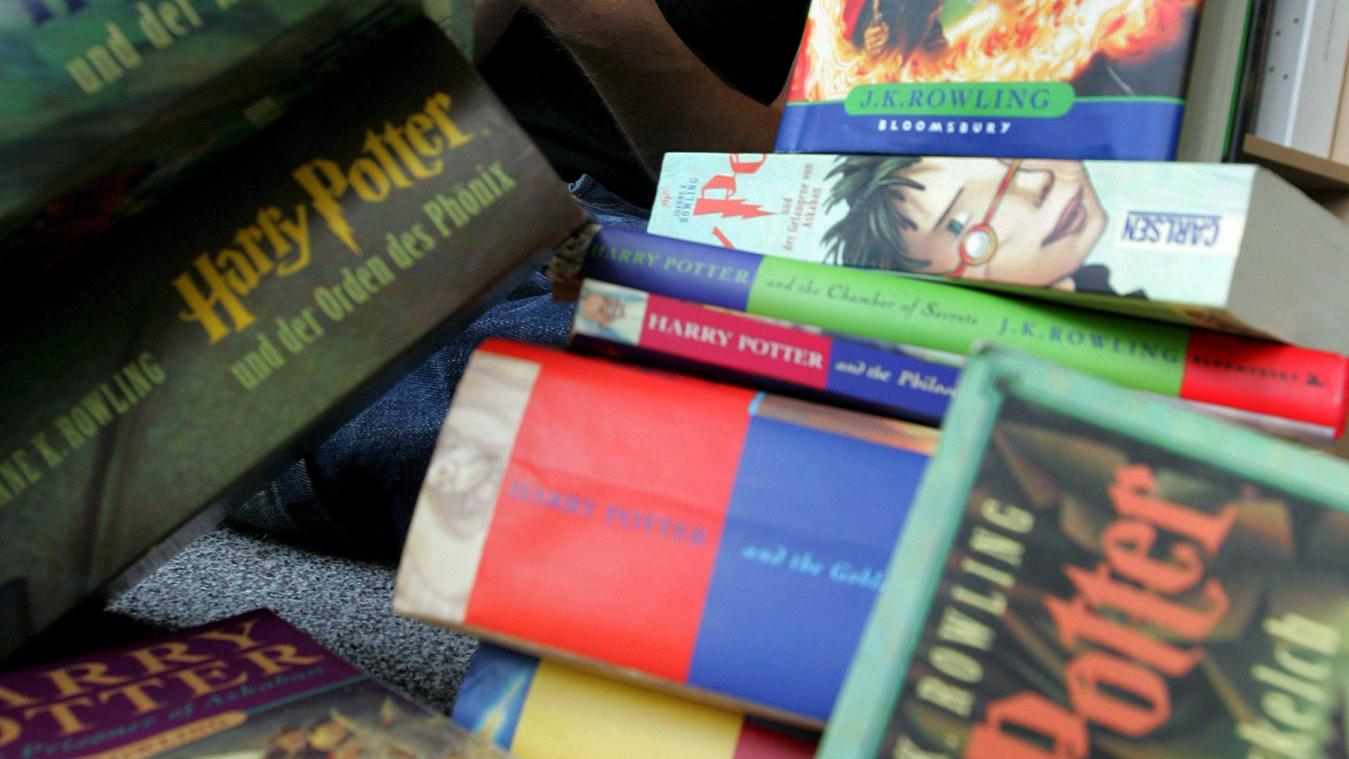 <p>Eine Reihe verschiedener „Harry Potter“-Bände</p>