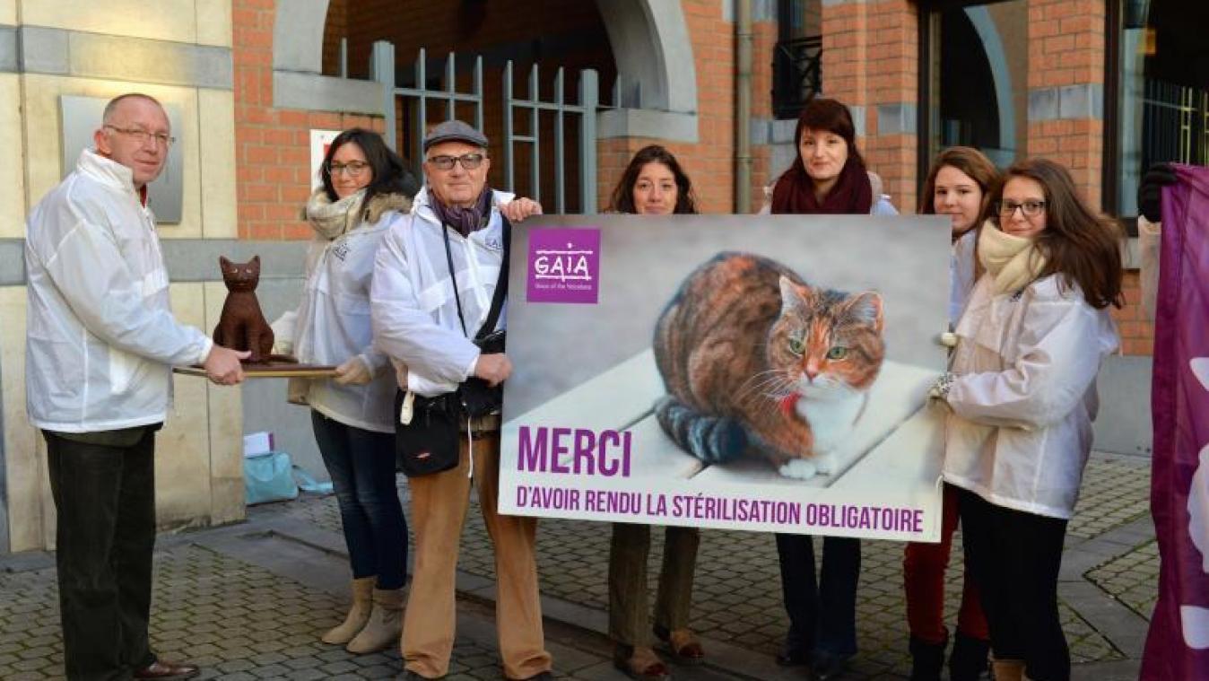 <p>Die Sterilisierung der Katzen ist in ganz Belgien Pflicht. Die Tierschutzorganisation GAIA begrüßt die Fortschritte.</p>