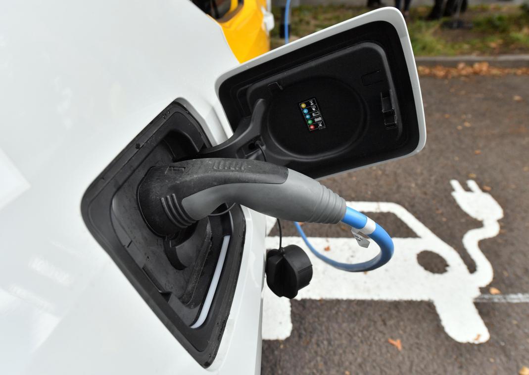 <p>Seit Anfang 2015 hat sich die Zahl der Null-Emissions-Fahrzeuge verachtfacht.</p>