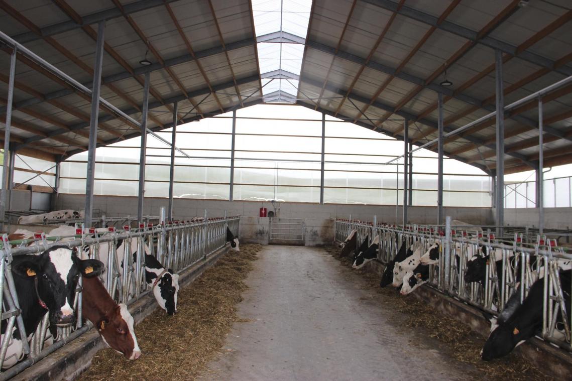 <p>Über 210 Milchkühe werden auf dem Hof Geiben täglich gemolken. Seit zehn Jahren arbeitet der Betrieb mit einem Melkroboter, was den Landwirten deutlich mehr Flexibilität gibt.</p>