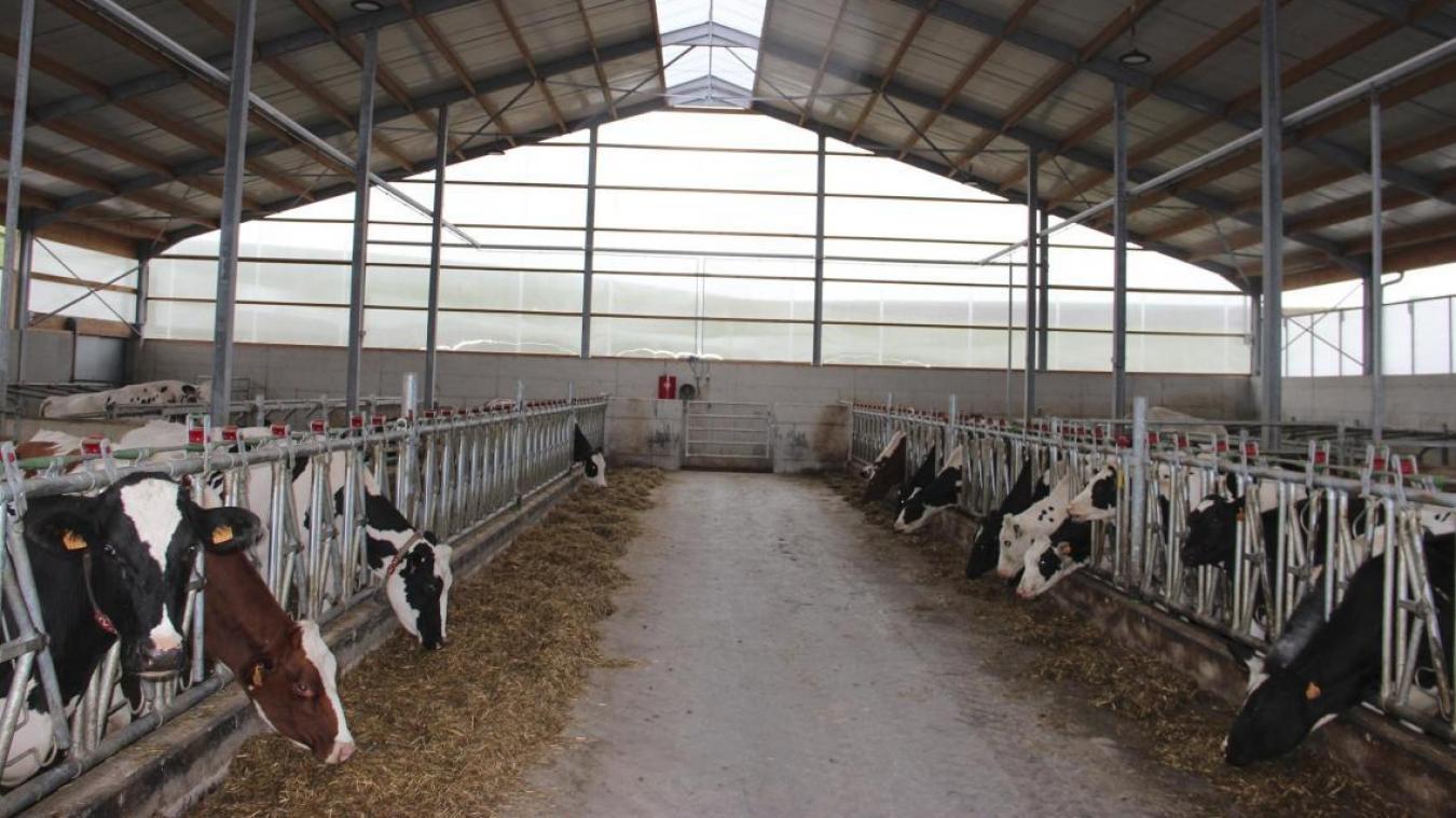 <p>Über 210 Milchkühe werden auf dem Hof Geiben täglich gemolken. Seit zehn Jahren arbeitet der Betrieb mit einem Melkroboter, was den Landwirten deutlich mehr Flexibilität gibt.</p>