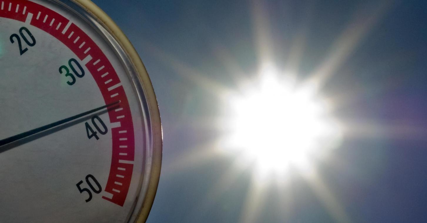 <p>Die Durchschnittstemperatur könnte bis zum Jahr 2100 um fünf Grad Celsius steigen.</p>