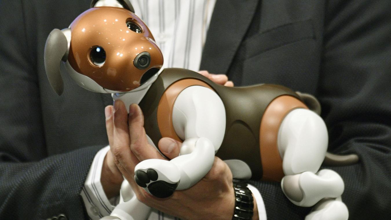 <p>Kleine Roboter erfreuen sich in Japan während der Corona-Pandemie wachsender Nachfrage als Ersatz für zwischenmenschlichen Kontakt.</p>