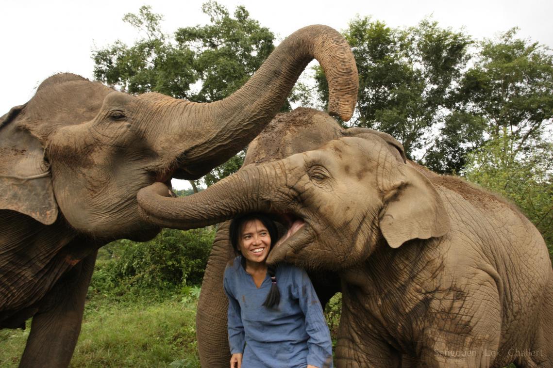 <p>Sangduen «Lek» Chailert kümmert sich im Norden des Landes im «Elephant Nature Park» um kranke und traumatisierte Elefanten. Das von ihr gegründete Projekt wurde wegen seiner sanften Methoden bereits mehrfach ausgezeichnet.</p>